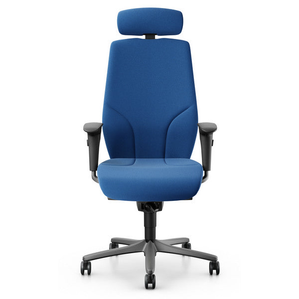 giroflex-64-executive-chair-pearl-metallic-frame-with-headrest6
