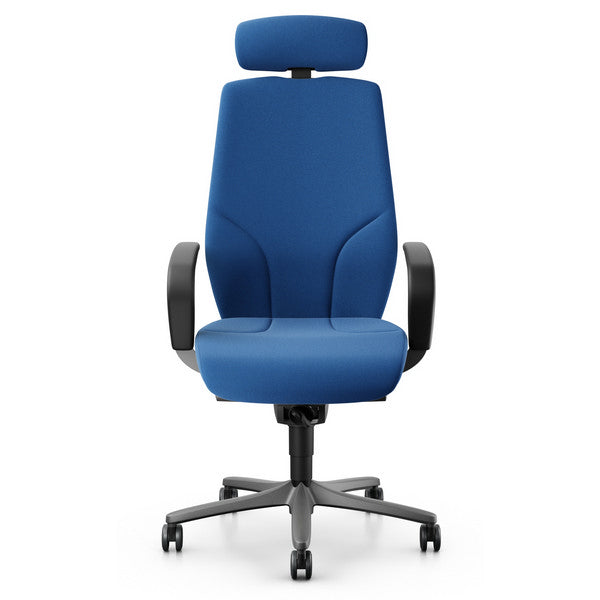 giroflex-64-executive-chair-pearl-metallic-frame-with-headrest1