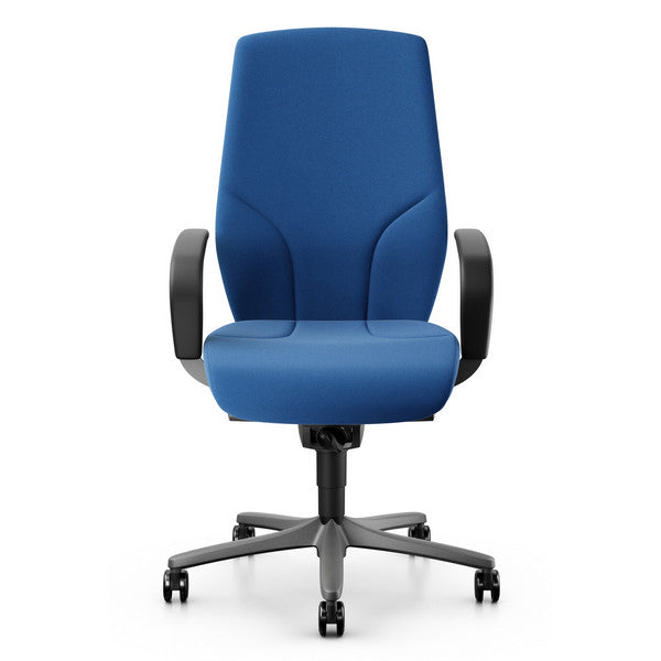 giroflex-64-executive-office-chair-pearl-metallic-frame3