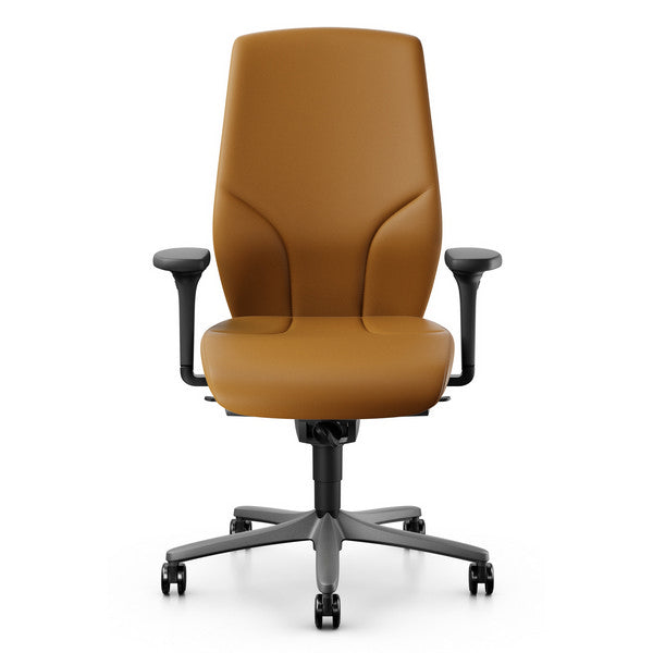 giroflex-64-executive-leather-chair-pearl-metallic-frame1