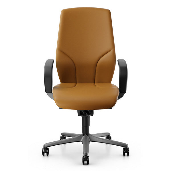 giroflex-64-executive-leather-chair-pearl-metallic-frame5