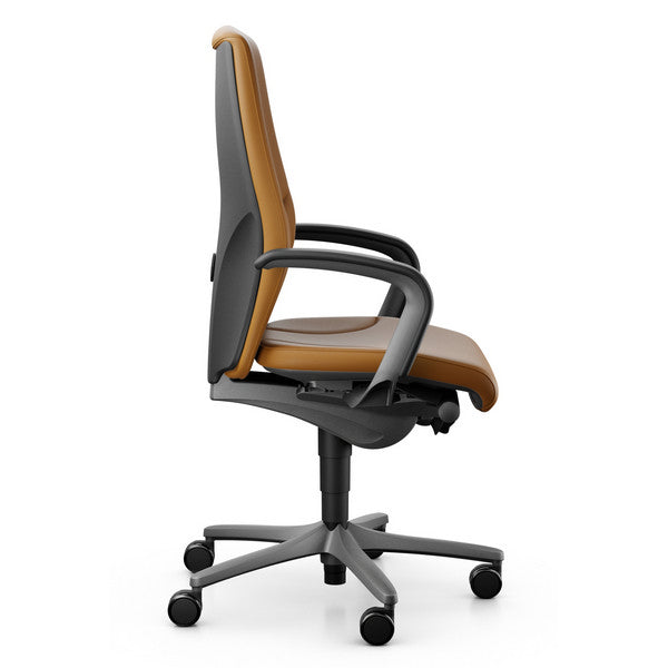 giroflex-64-executive-leather-chair-pearl-metallic-frame6
