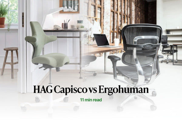 HAG Capisco 8106 sage green fabric and Ergohuman elite mesh office chair