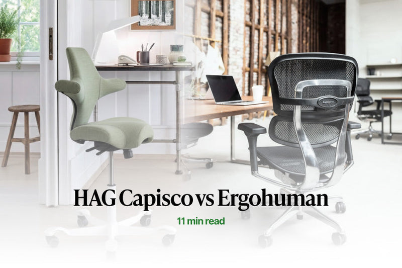 HAG Capisco 8106 sage green fabric and Ergohuman elite mesh office chair