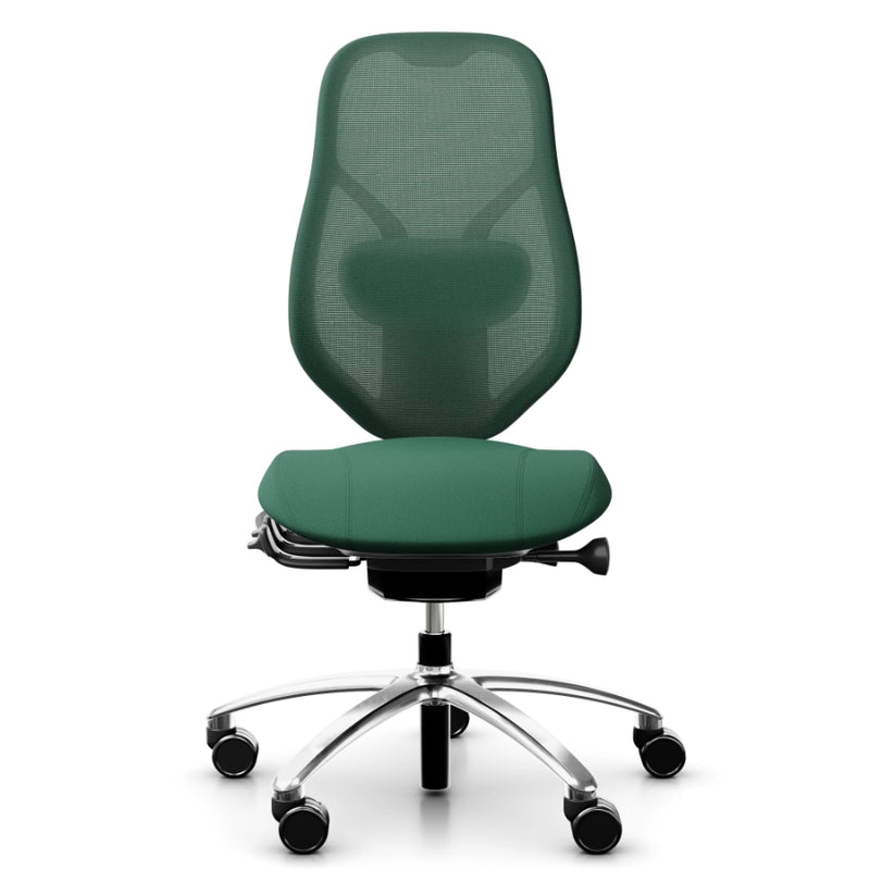 RH Mereo Mesh Ergonomic Office Chair - Black Frame