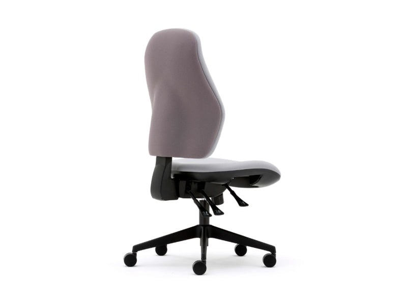 Torasen Orthopaedica Ergonomic Office Chair OC107 - Quick Ship
