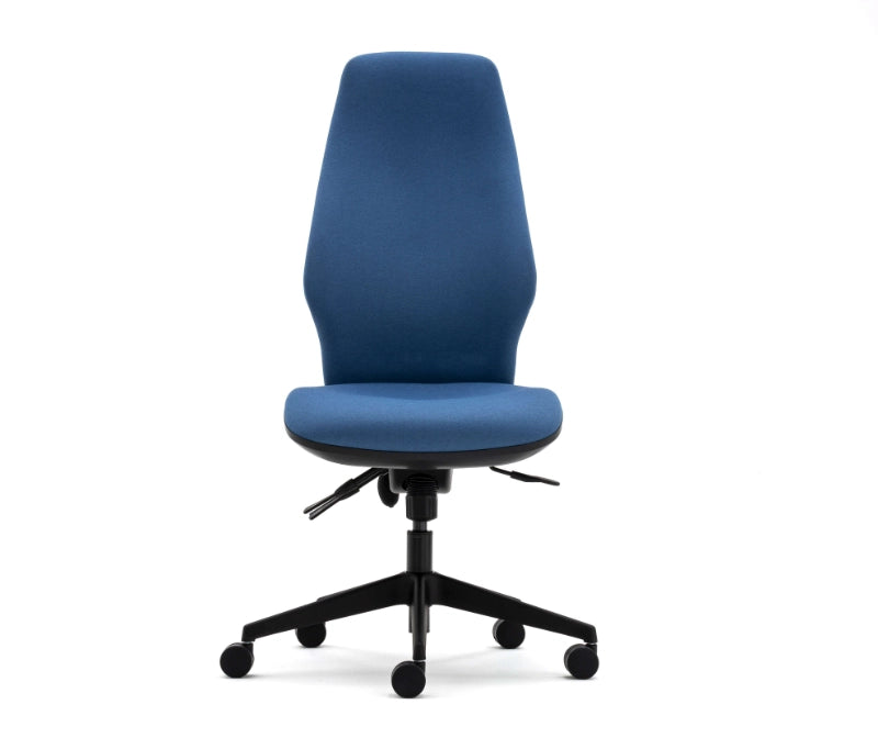 Torasen Orthopaedica Office Chair - 300 Series