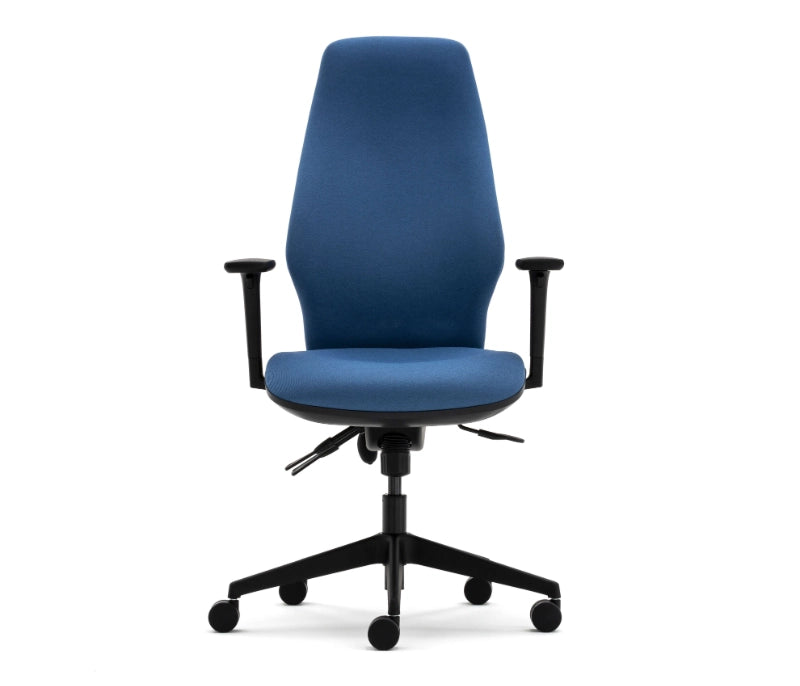 Torasen Orthopaedica Office Chair - 300 Series
