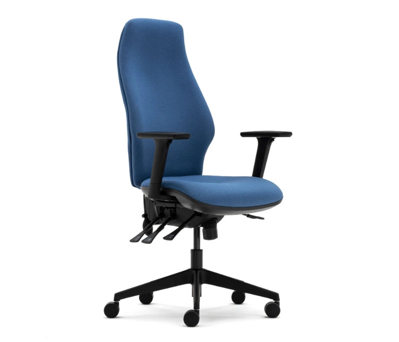 Torasen Orthopaedica Office Chair - 300 Series