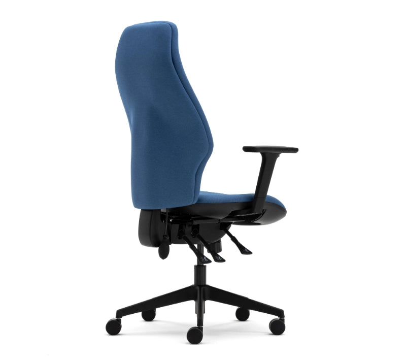 Torasen Orthopaedica Office Chair - 300 Series