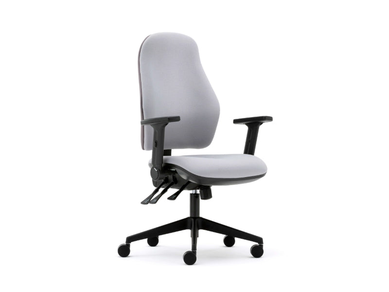 Torasen Orthopaedica Ergonomic Office Chair OC107 - Quick Ship