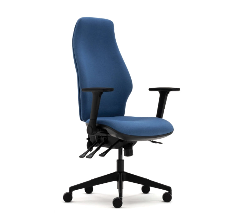 Torasen Orthopaedica Office Chair - 300 Series
