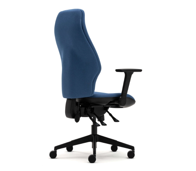 Torasen Orthopaedica Office Chair - 300 Series