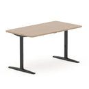 Torasen Arise Height Adjustable Desk 21