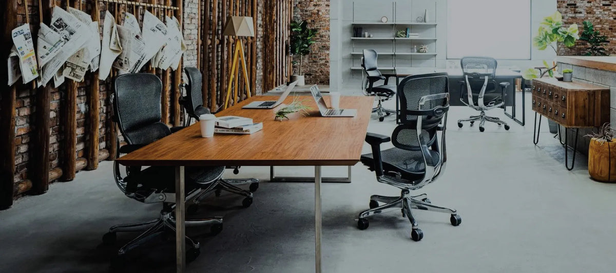 Ergohuman Elite Ergonomic Office Chairs