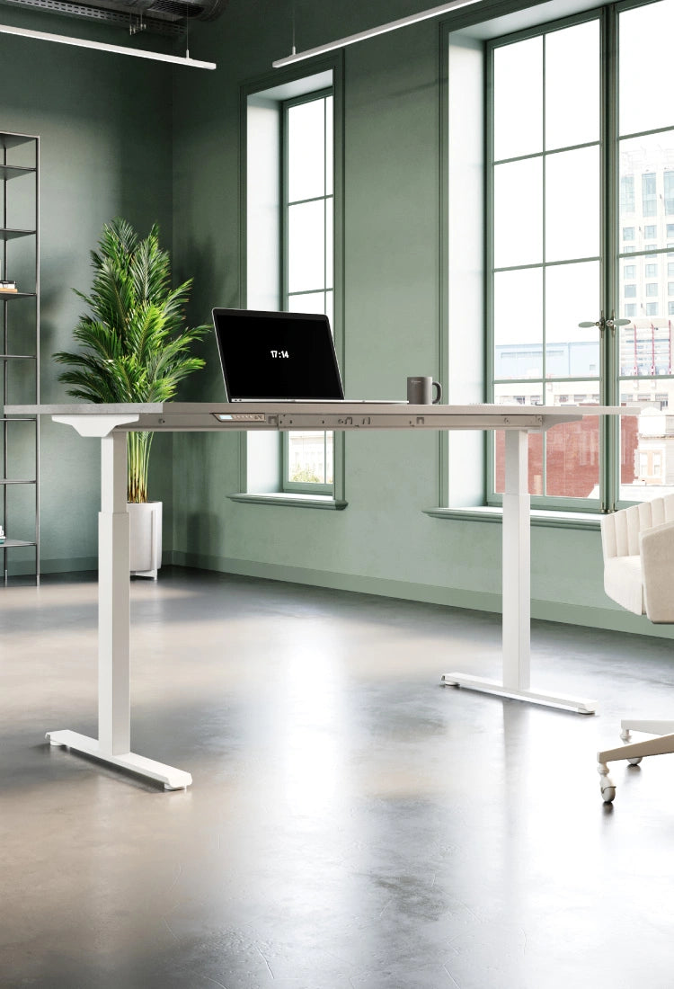 Modern office setup with a standing desk, laptop, and plant in a bright room.