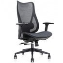 Mala Ergonomic Mesh Office Chair