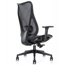 Mala Ergonomic Mesh Office Chair