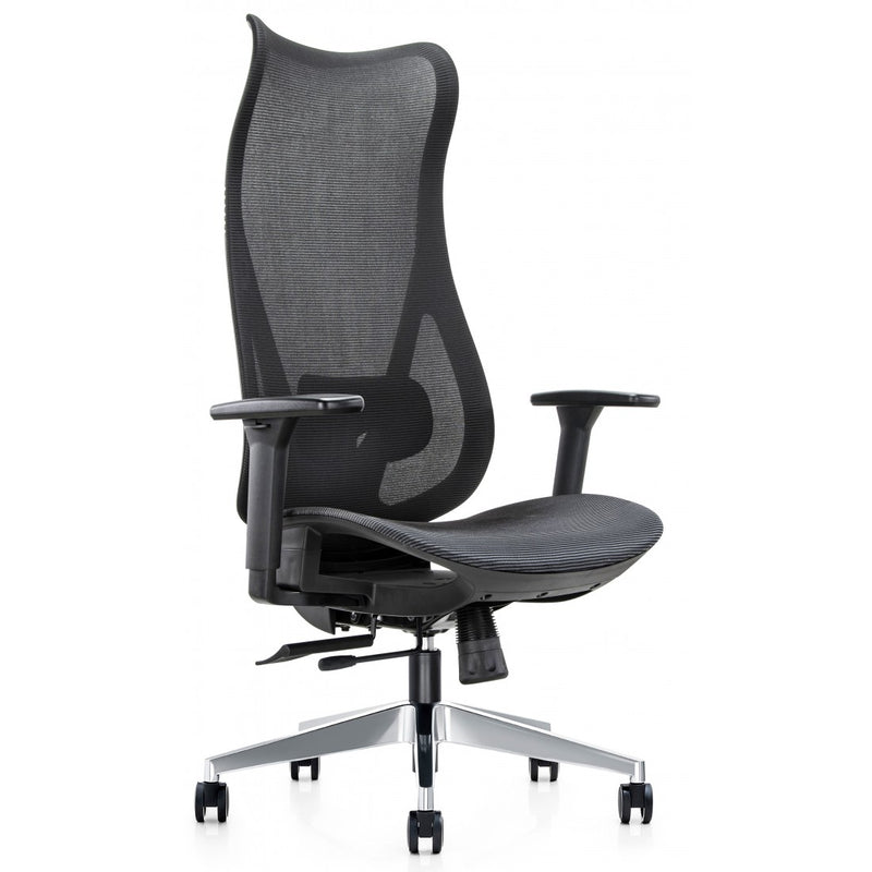 Mala Ergonomic Mesh Office Chair