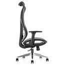 Mala Ergonomic Mesh Office Chair