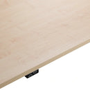 Flyga Dual Motor Standing Desk - Woodgrain MFC Top | 3-Stage