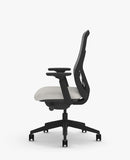 Senator Ousby Chair 17