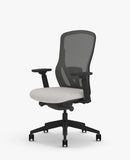 Senator Ousby Chair 18