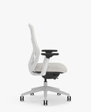 Senator Ousby Chair 23