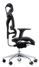 Dynamic Dorsum ergonomic high-back black mesh office chair with adjustable arms and back support
