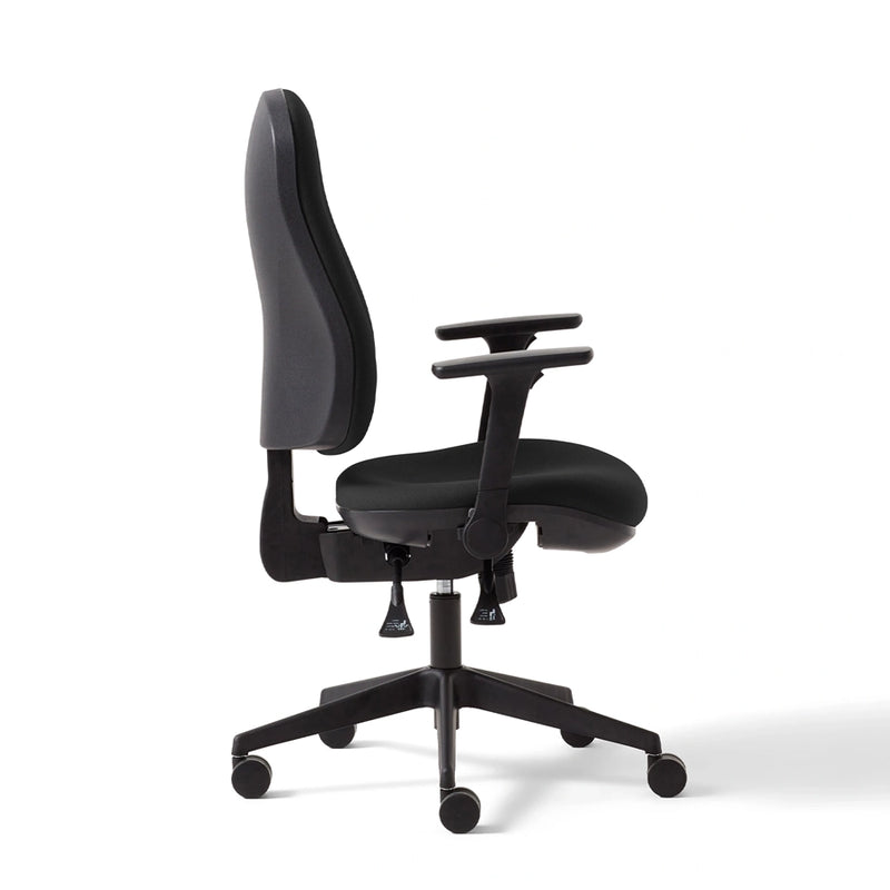 Torasen Orthopaedica High Back Office Chair