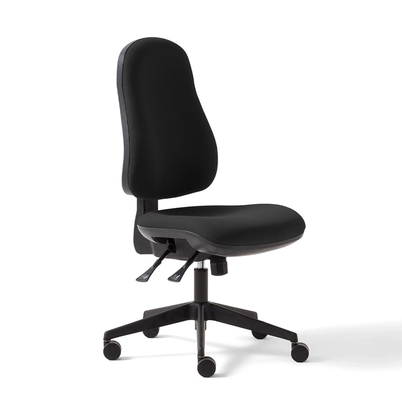 Torasen Orthopaedica High Back Office Chair