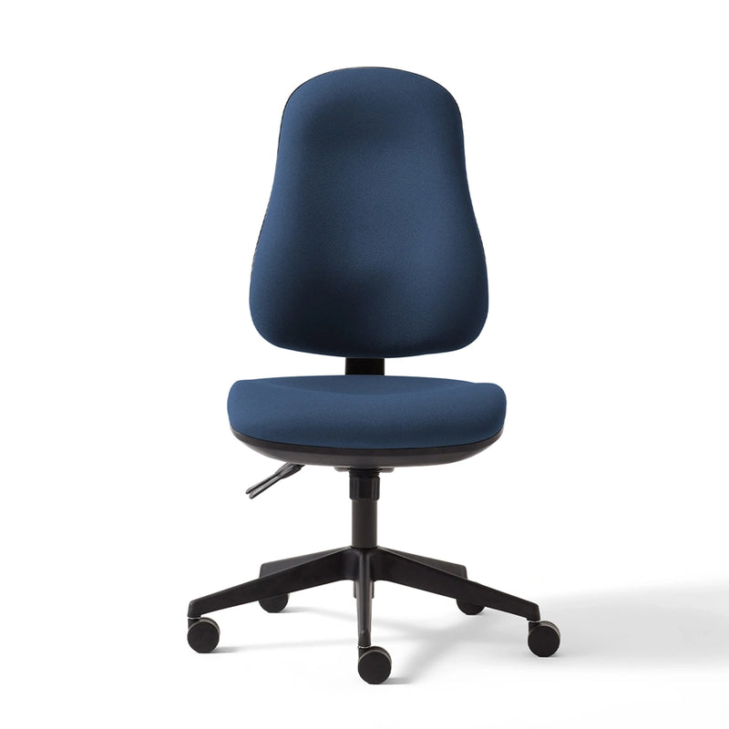 Torasen Orthopaedica High Back Office Chair