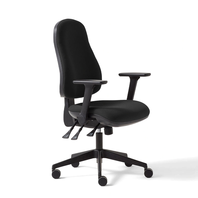 Torasen Orthopaedica High Back Office Chair
