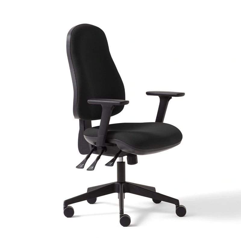 Torasen Orthopaedica High Back Office Chair