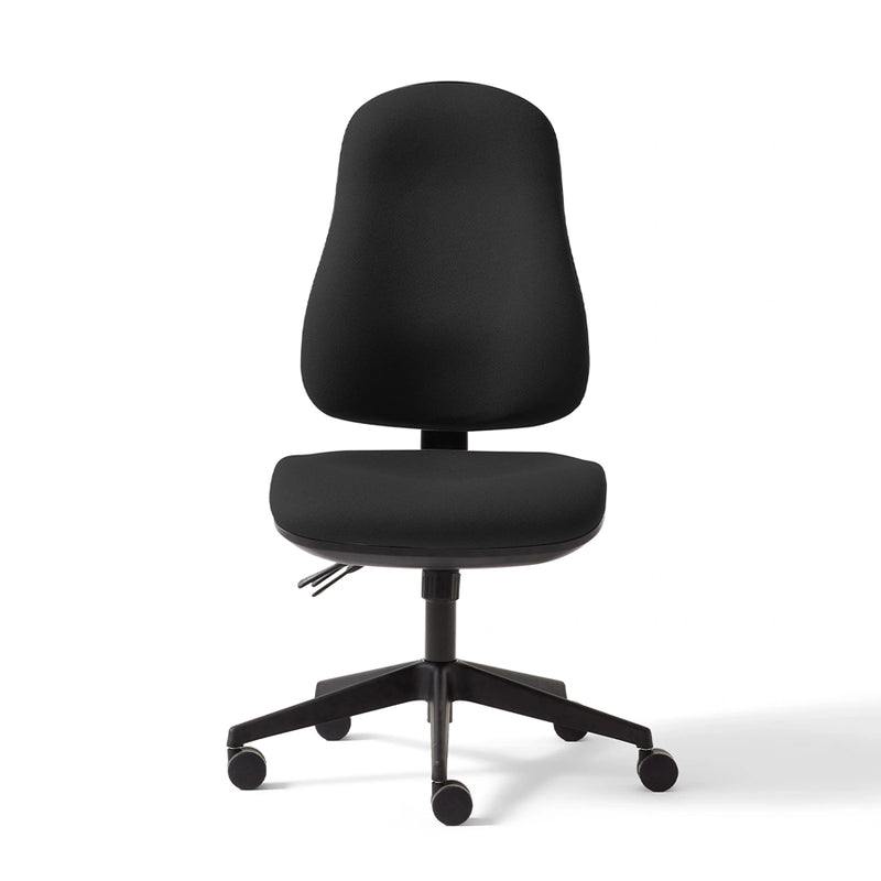 Torasen Orthopaedica High Back Office Chair