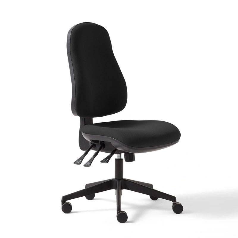 Torasen Orthopaedica High Back Office Chair
