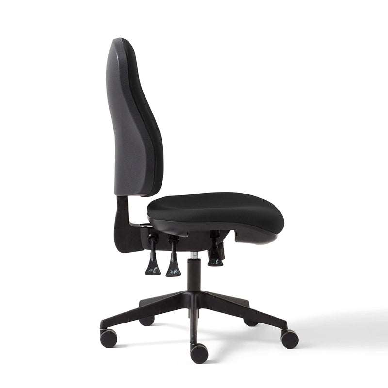 Torasen Orthopaedica High Back Office Chair