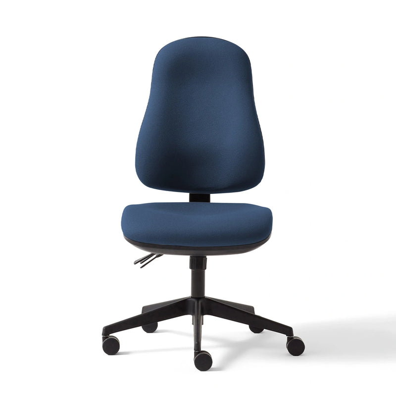 Torasen Orthopaedica High Back Office Chair