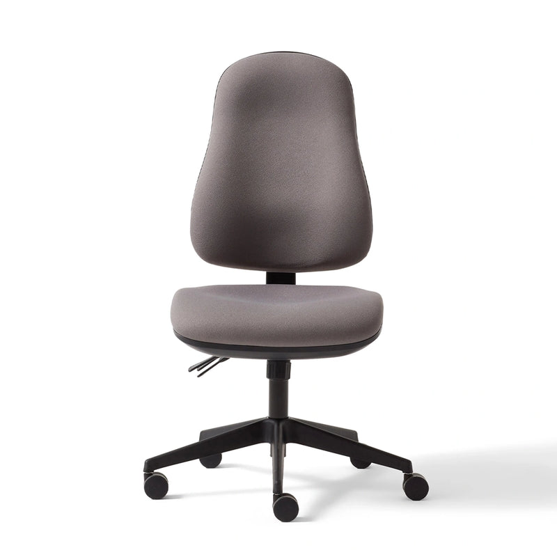 Torasen Orthopaedica High Back Office Chair