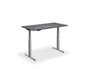 Flyga Dual Motor Standing Desk - Woodgrain MFC Top | 3-Stage