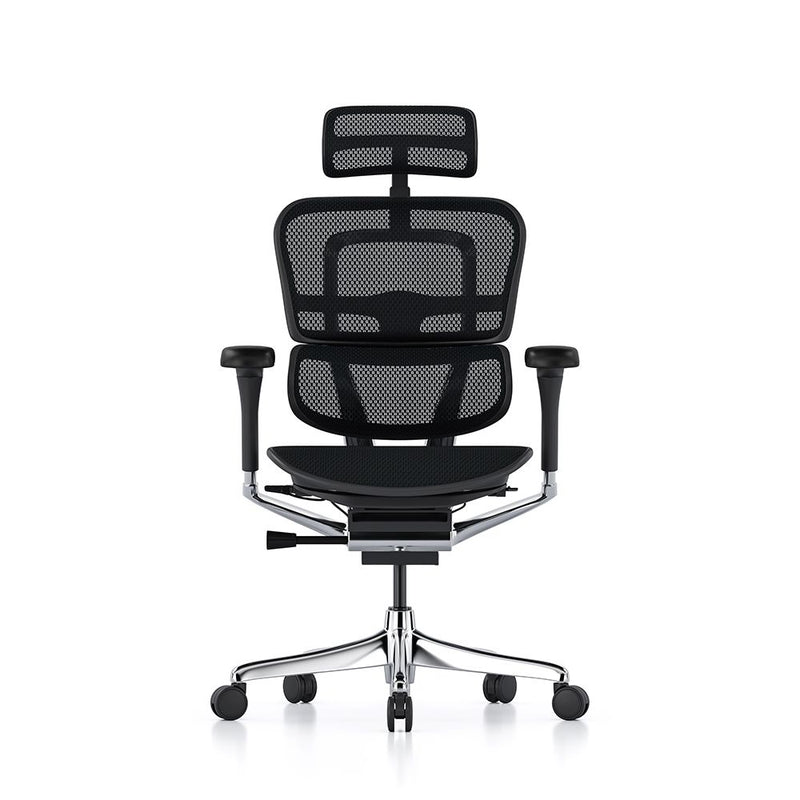 Ergohuman Elite Mesh Office Chair With Headrest