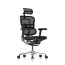 Ergohuman Elite Mesh Office Chair With Headrest 1