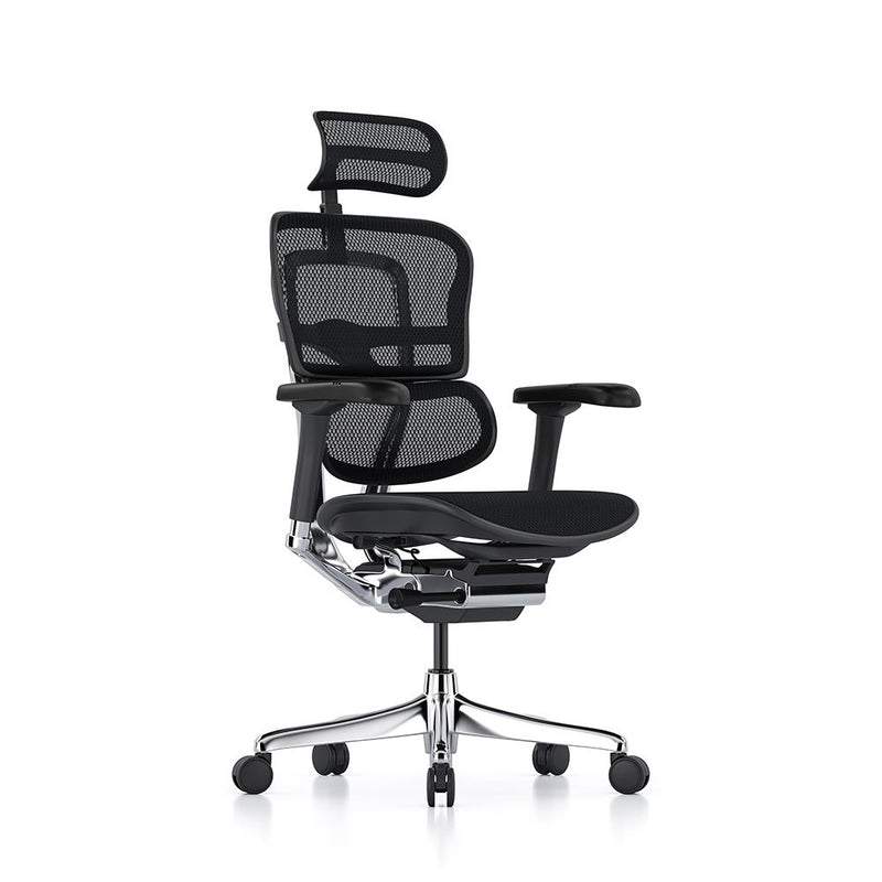 Ergohuman Elite Mesh Office Chair With Headrest