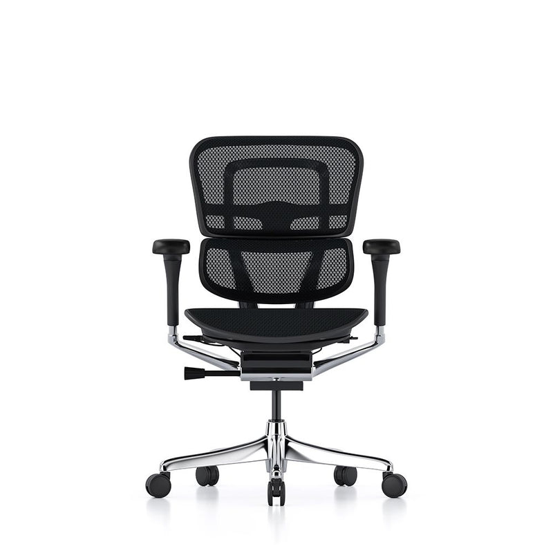 Ergohuman Elite Office Chair – Ergonomic Design, No Headrest