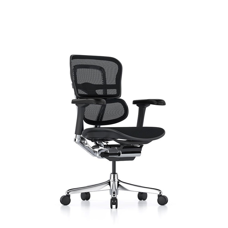 Ergohuman Elite Mesh Office Chair