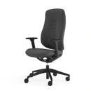 Senator Freeflow Task Chair black 17