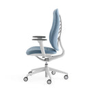 Senator Freeflow Task Chair black 65
