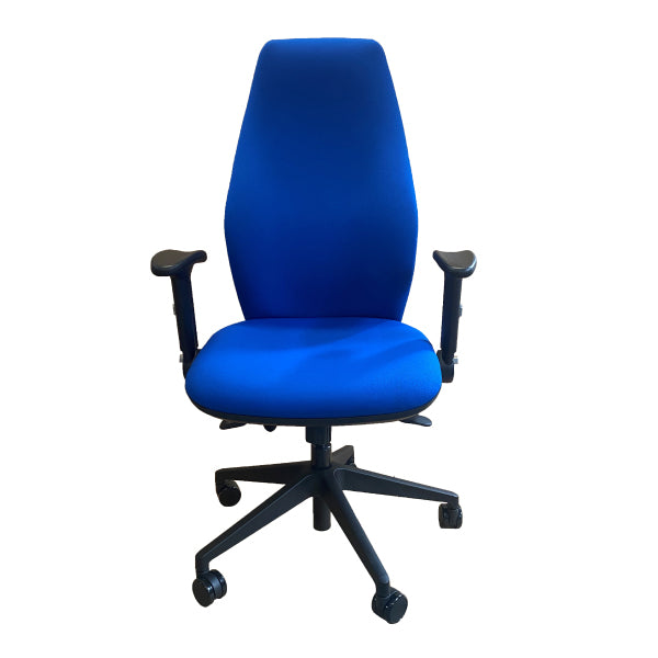Status Zen Orthopedic Office Chair - Foldaway Armrests